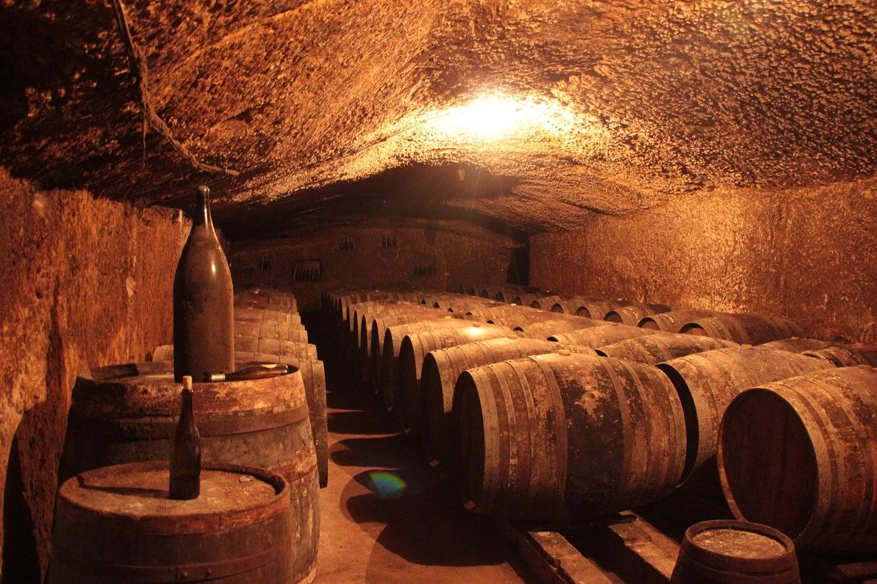 Underground wine cellar with barrels and golden light