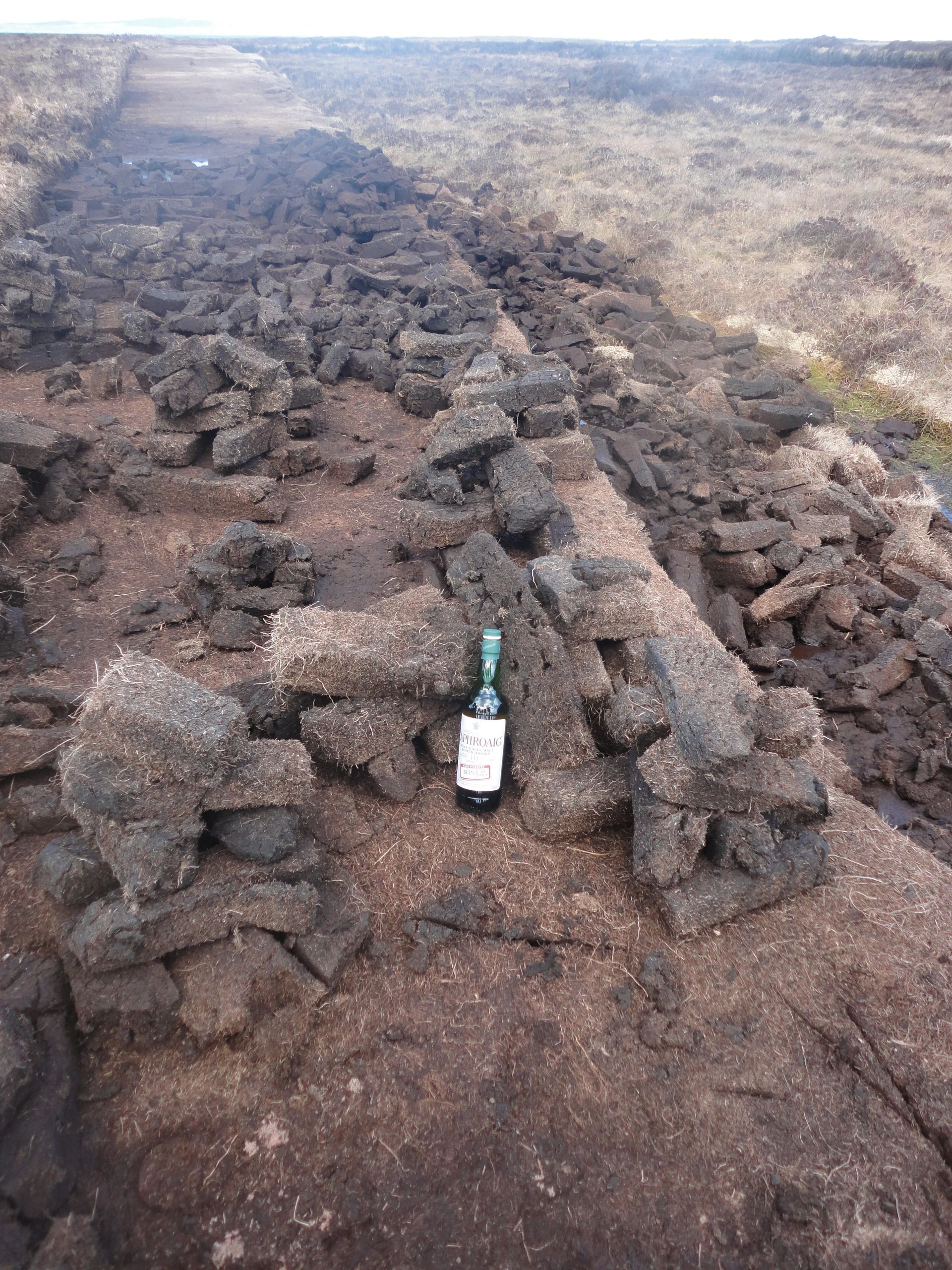 Wine bottle on volcanic lava field landscape